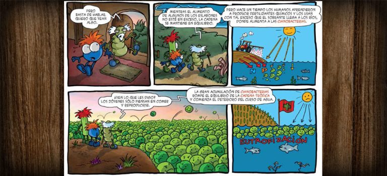 Algo de protagonismo en estas aguas