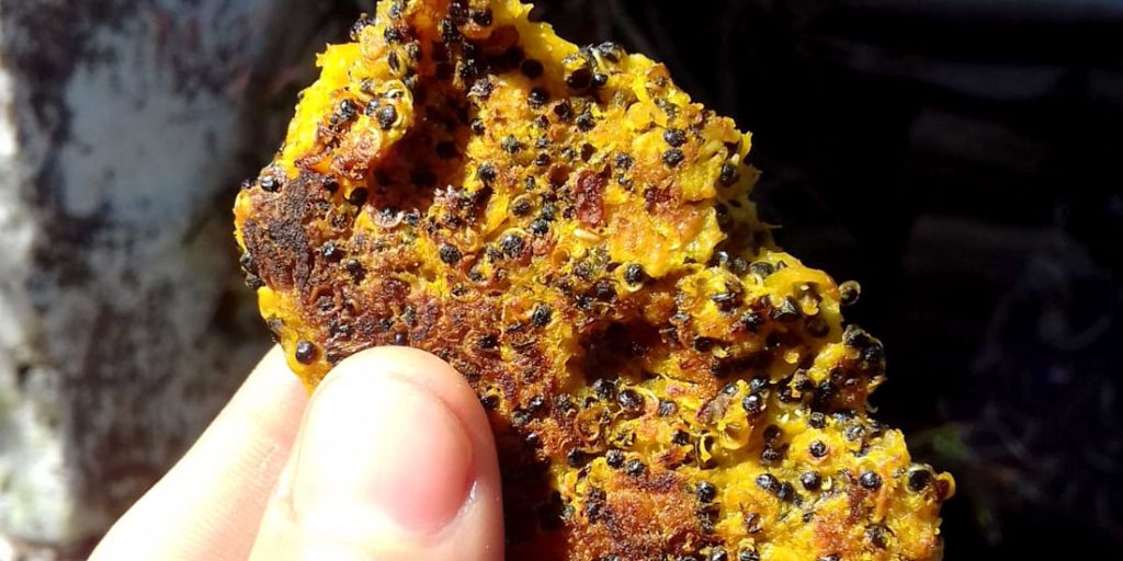 Pelotitas de zapallo y quinoa