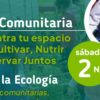 Feria Comunitaria en Colonia: 2 de noviembre