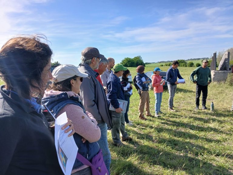 Reconocimiento y manejo de pasturas naturales